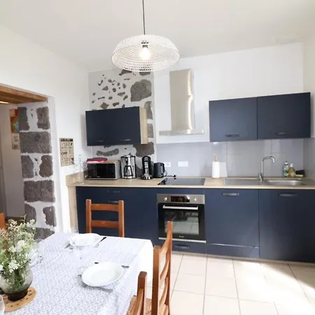 Maison De Charme Au Coeur Des Monts Du Cantal, Ideale Pour 12 Pers., Avec Jardin, Cheminee Et Loisirs Proches - Fr-1-742-96 * Saint-Martin-Valmeroux