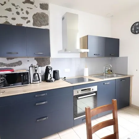 Maison De Charme Au Coeur Des Monts Du Cantal, Ideale Pour 12 Pers., Avec Jardin, Cheminee Et Loisirs Proches - Fr-1-742-96