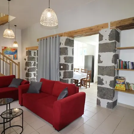 Maison De Charme Au Coeur Des Monts Du Cantal, Ideale Pour 12 Pers., Avec Jardin, Cheminee Et Loisirs Proches - Fr-1-742-96 Hébergement de vacances *